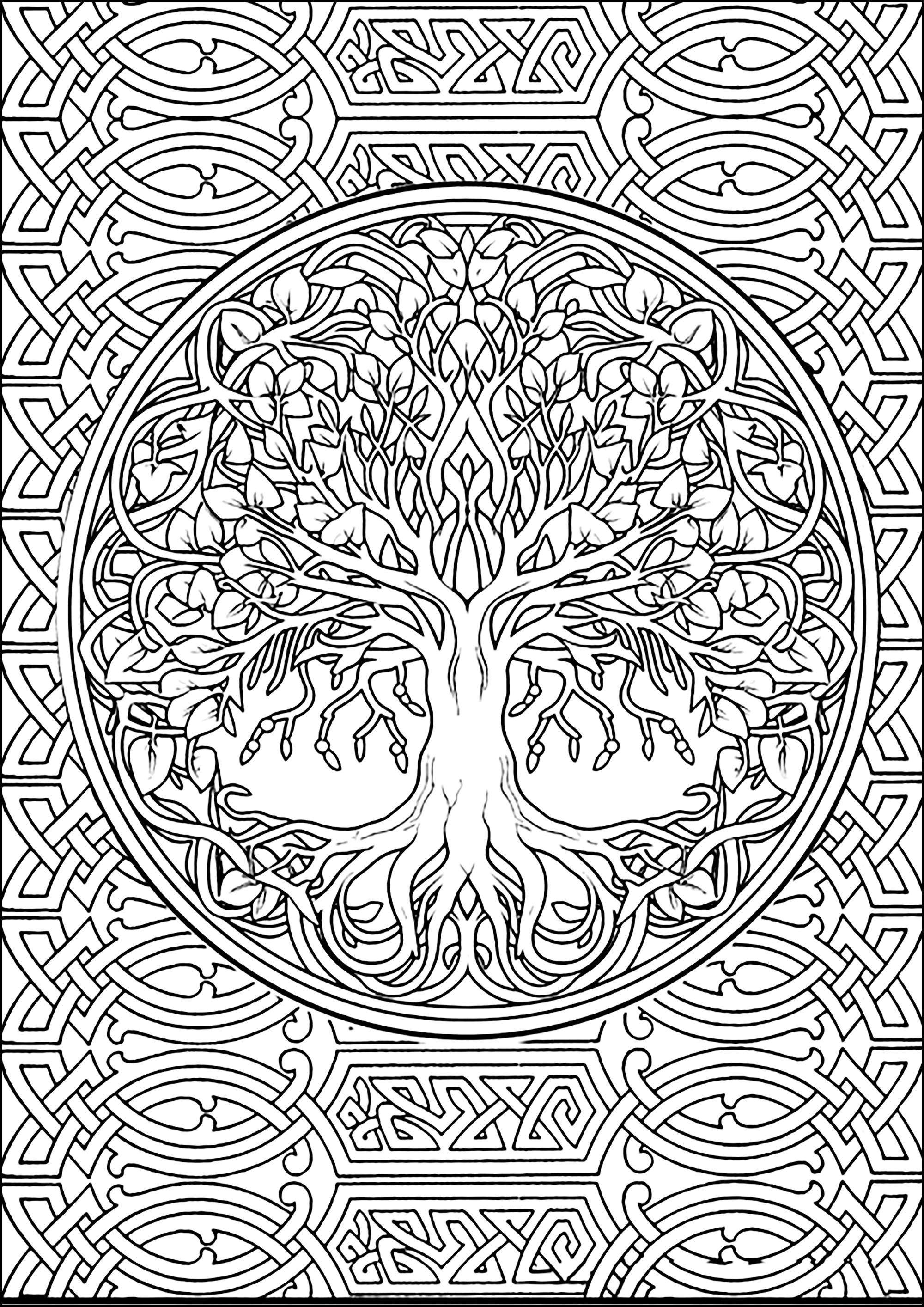 Dessin Complexe De L Arbre De La Vie Coloriages Art Celtique