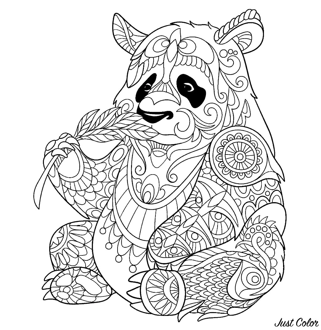 Desenhos Simples Para Crian As Para Colorir De Pandas Pandas