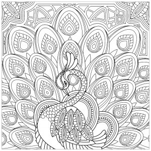 Coloring Pages For Adults Peacock