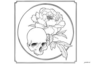 Skull and peony Balancing life and death