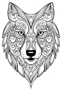 Superb wolf's head