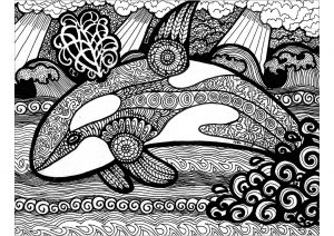 适合成人打印的着色 : : Orca & Zentangles