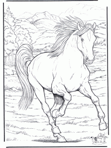 As melhores páginas para colorir cavalos para crianças - GBcolouring