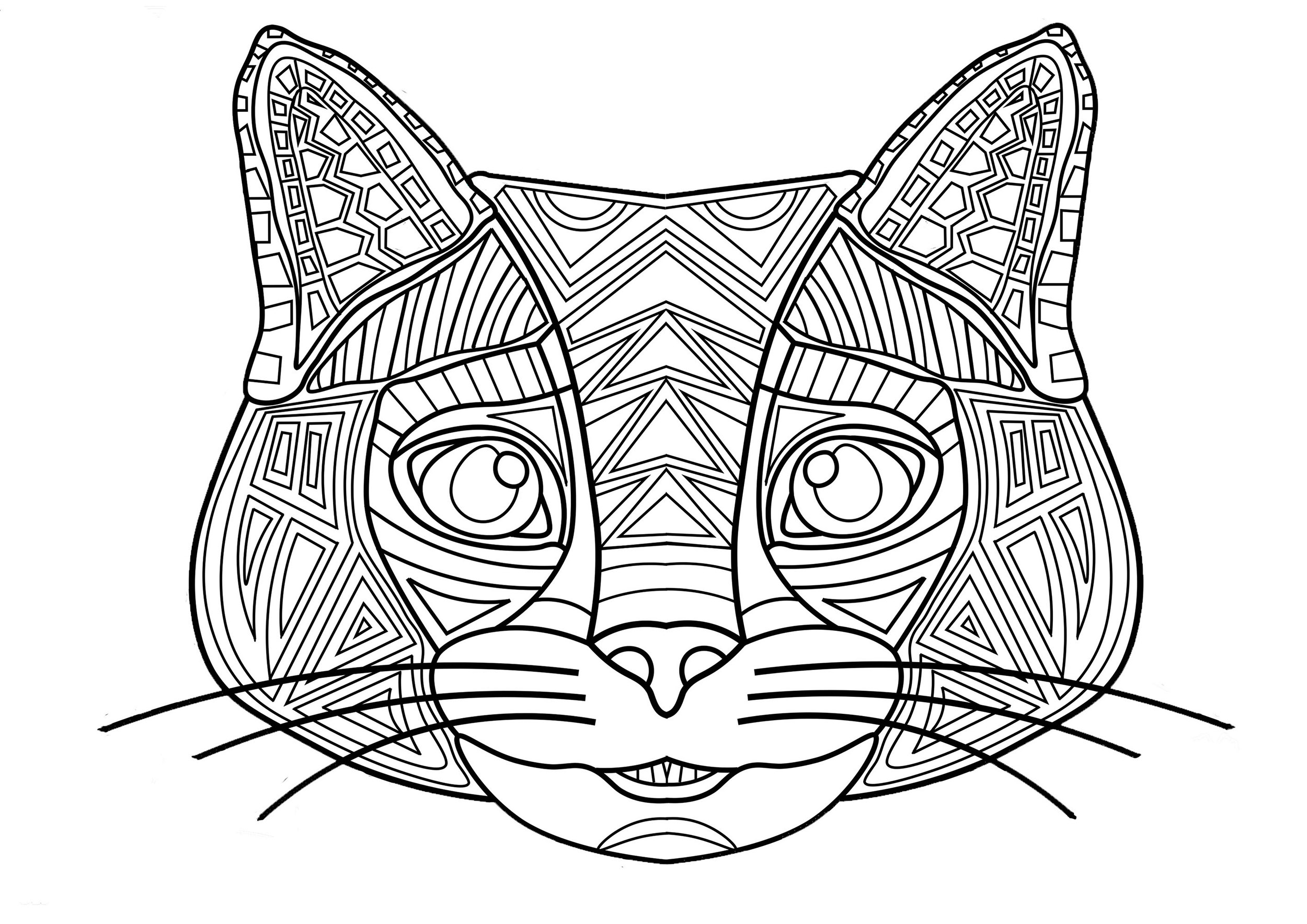Desenho Simples: Gato - Como Fazer 