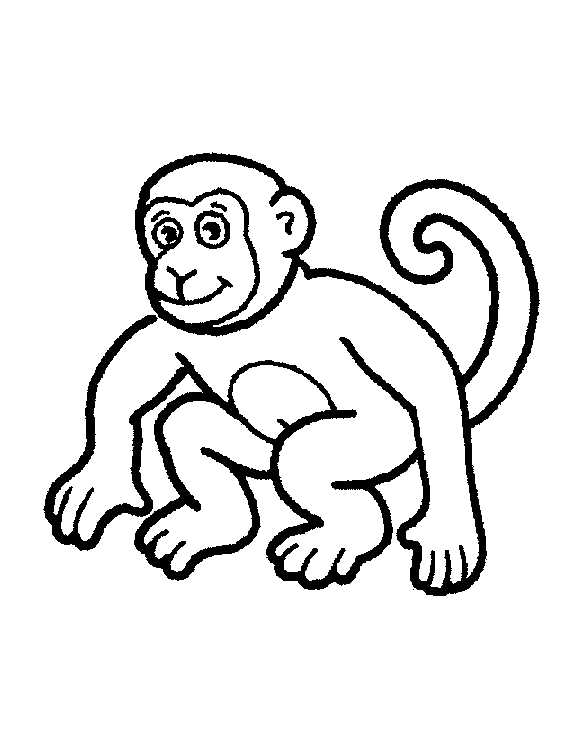 Macaco pequeno para colorir - Imprimir Desenhos