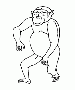 80 Desenhos de Macaco para Colorir e Imprimir