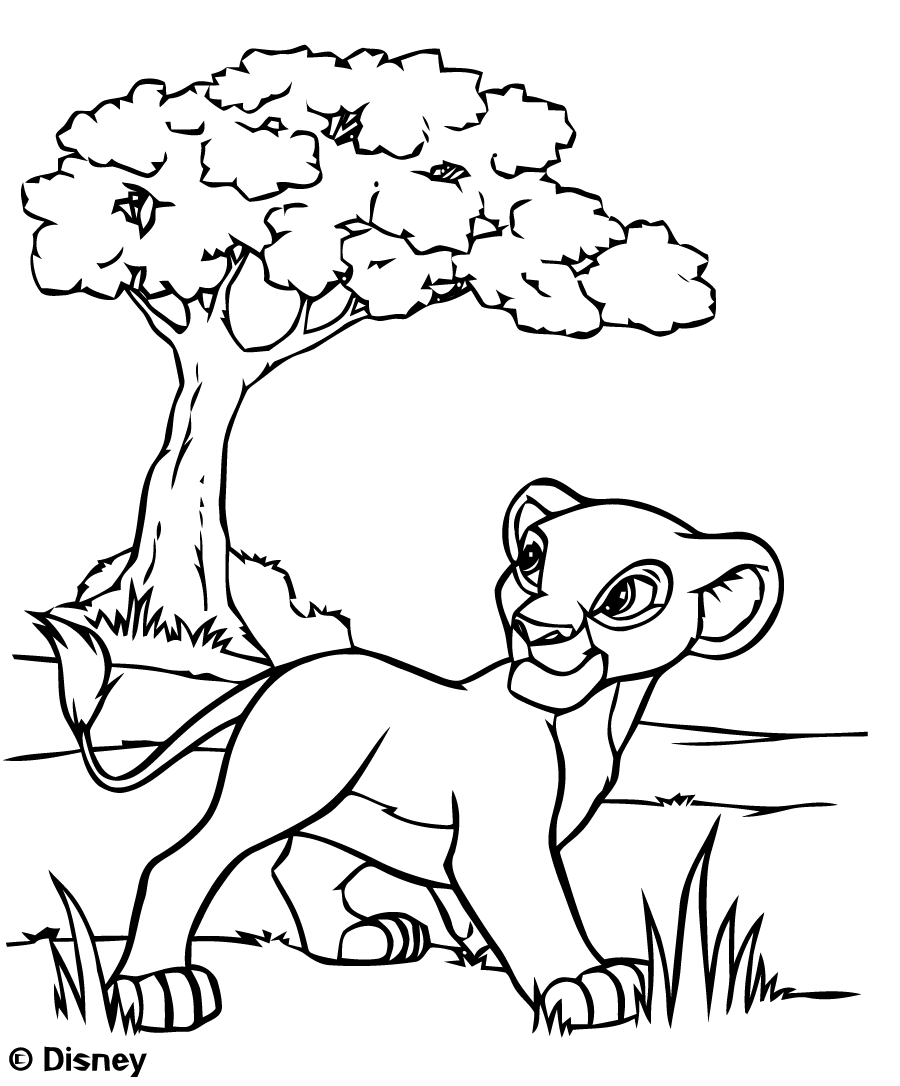 Desenhos Colorir Rei Leão - Desenhos Para Colorir