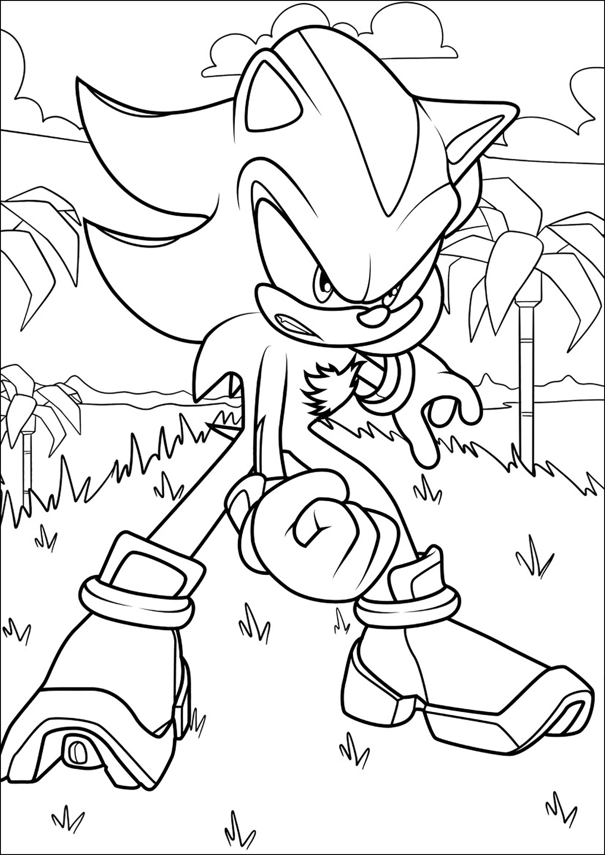 Shadow the hedgehog com Sonic - Sonic - Just Color Crianças