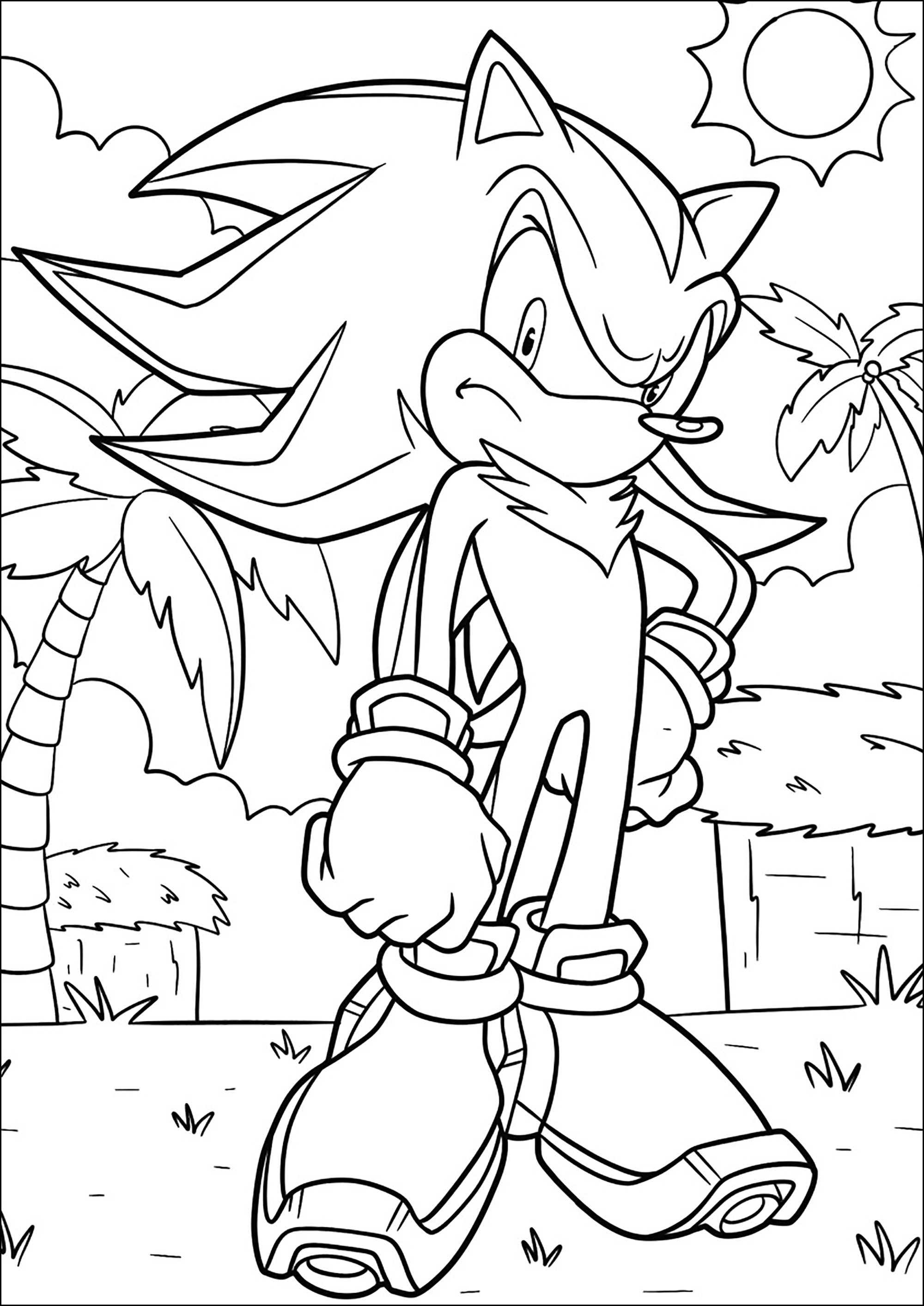 Desenhos para colorir Shadow in Sonic - Desenhos para colorir gratuitos  para impressão