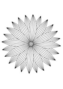 Ausmalbild von zum Ausdrucken und Ausmalen für Erwachsene : Mandala mit feinen Blütenblättern