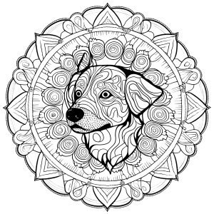 Ausmalbild von zum Ausdrucken und Ausmalen für Erwachsene : Hundekopf in einem Mandala