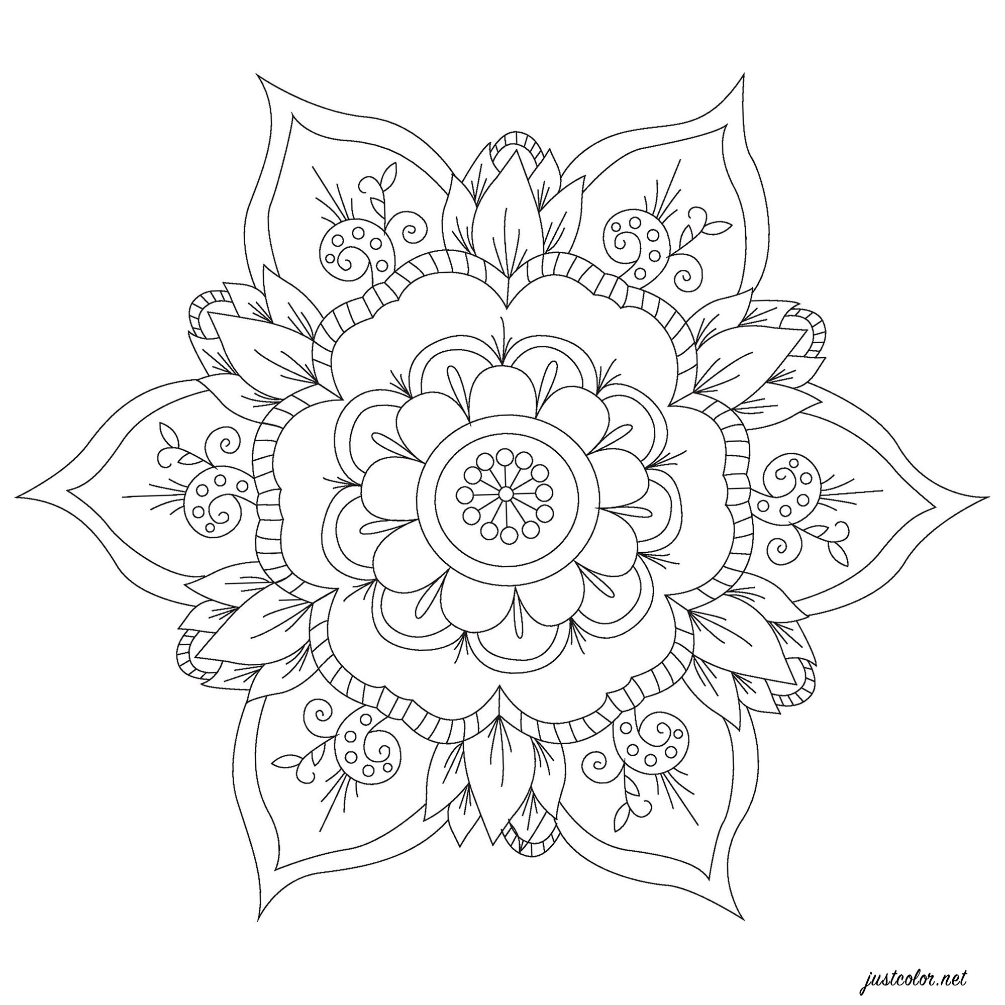 Mandala de elegantes flores - Mandalas - Colorear para Adultos