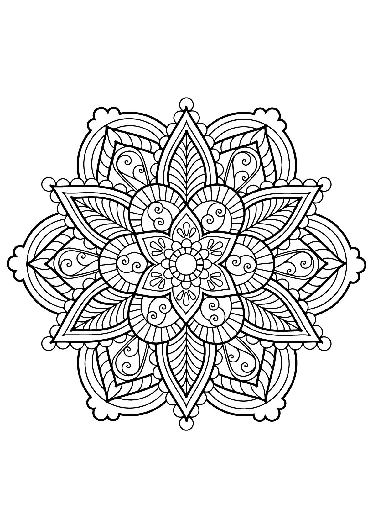 Mandala de elegantes flores - Mandalas - Colorear para Adultos