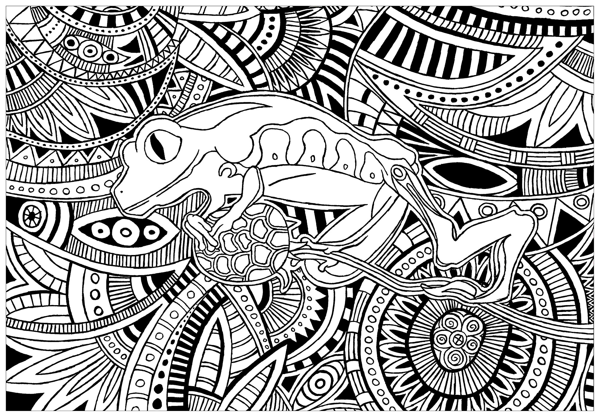 Grenouille fond motifs  Grenouilles Coloriages  