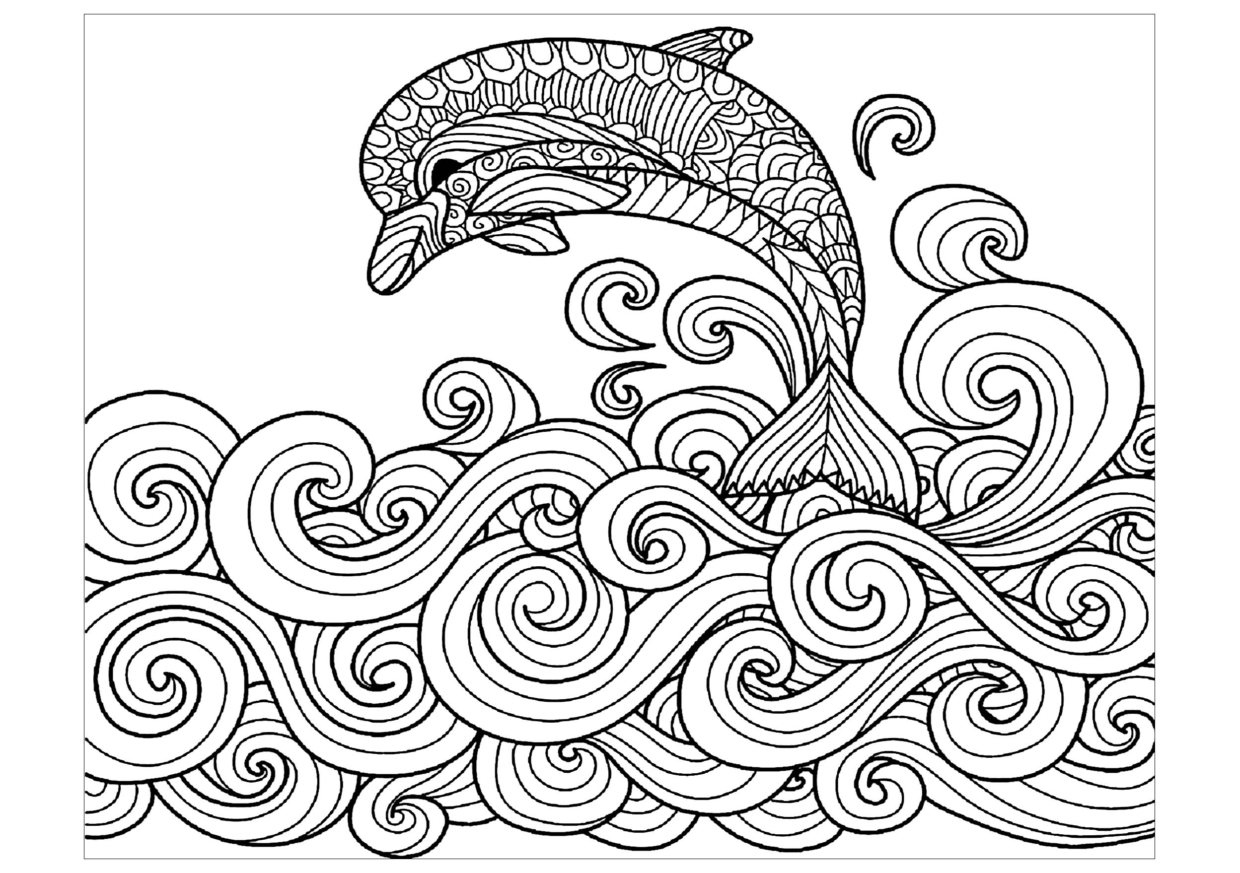 Dauphin avec des vagues simples, Artiste : Bimdeedee   Source : 123rf