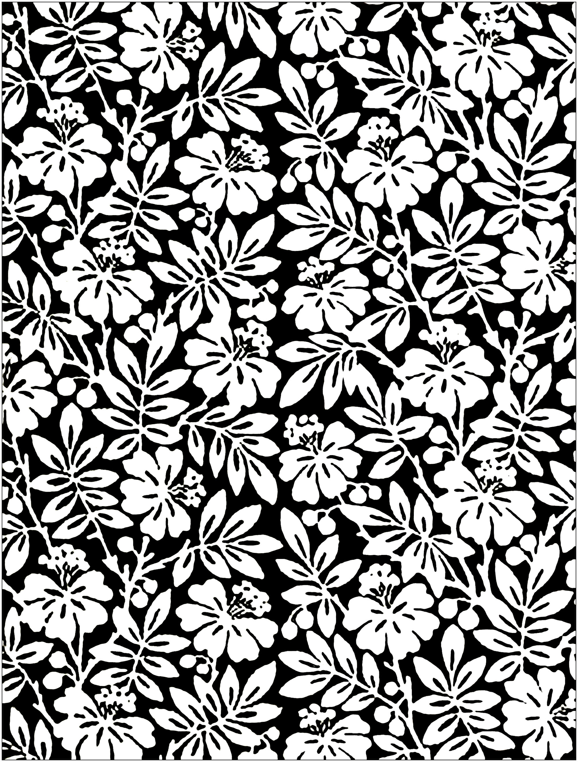 Coloriage composé de fleurs sur fond noir, créé à partir d'un papier peint anglais du 19e siècle, Artiste : Art'Isabelle