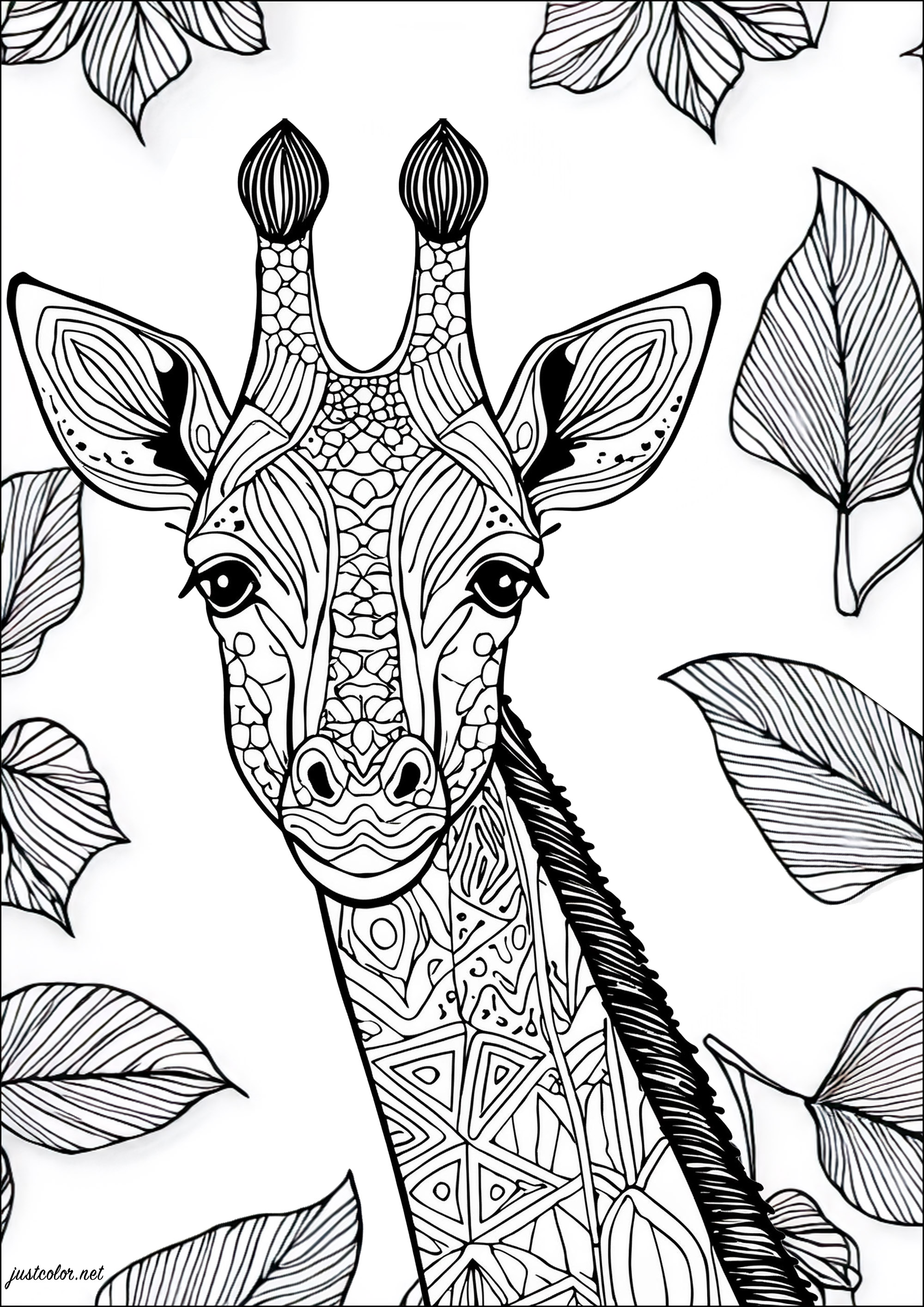 Belle Girafe avec fond composé de feuilles. Jolis motifs à colorier dans la girafe, et feuilles aux nervures assez serrées