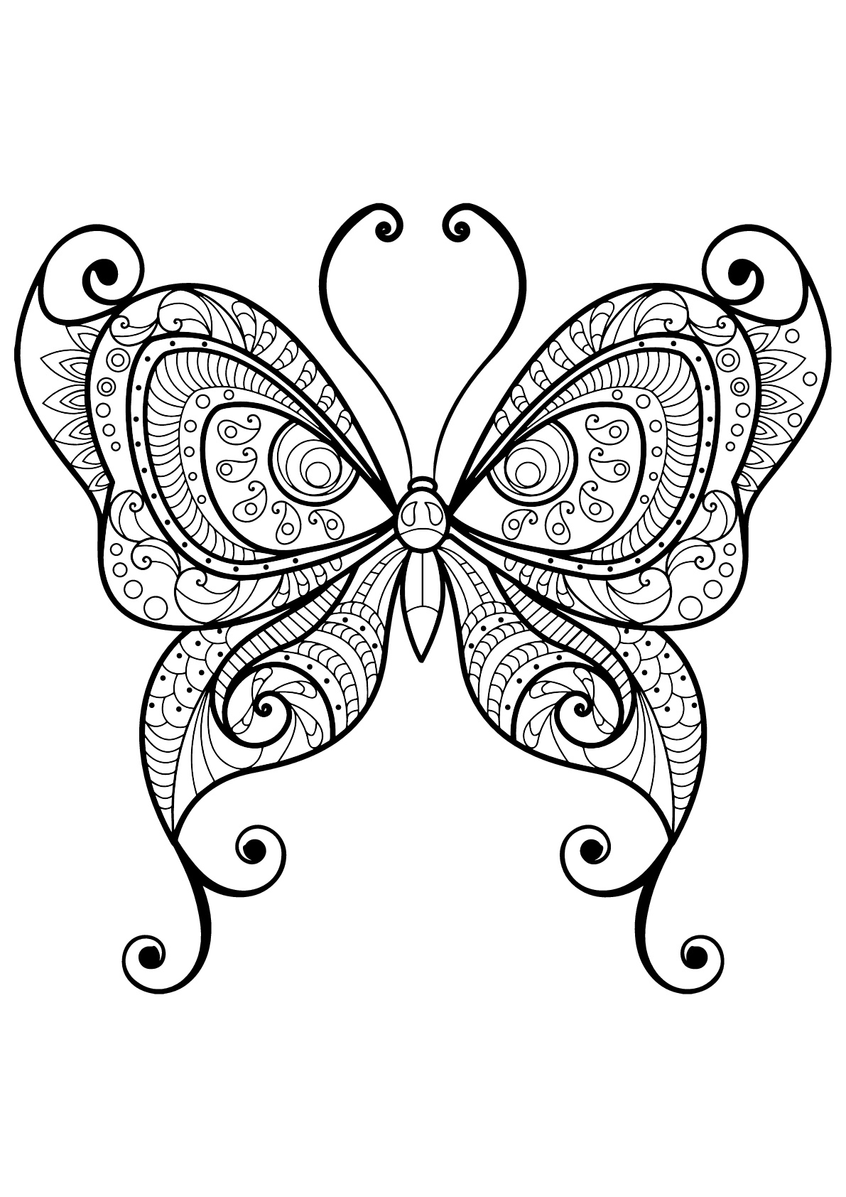 Papillon jolis motifs 10  Papillons & insectes  Coloriages difficiles