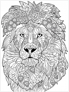 Lion et motifs complexes