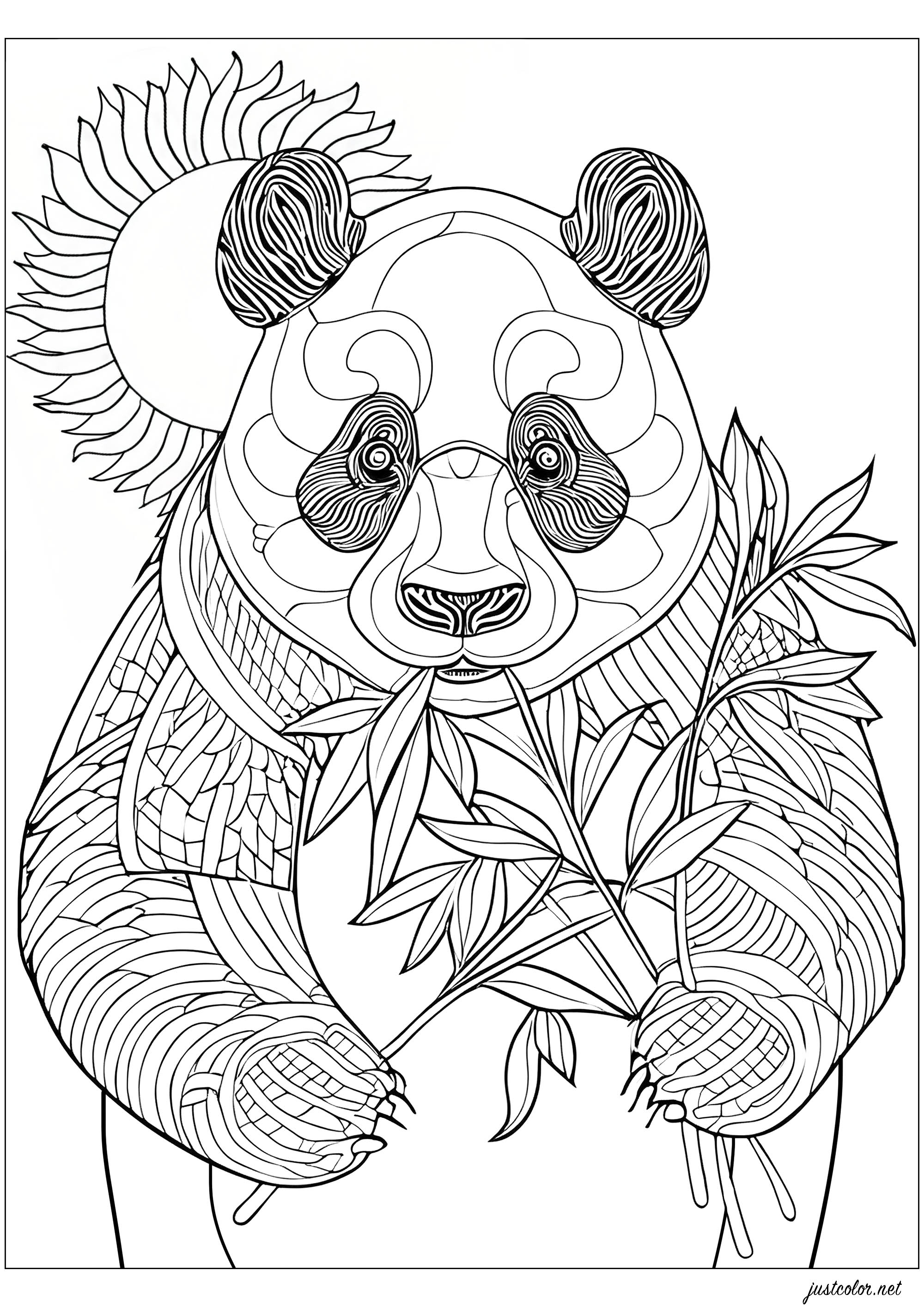 Panda mangeant du bambou, debout. Coloriez également le joli soleil derrière lui