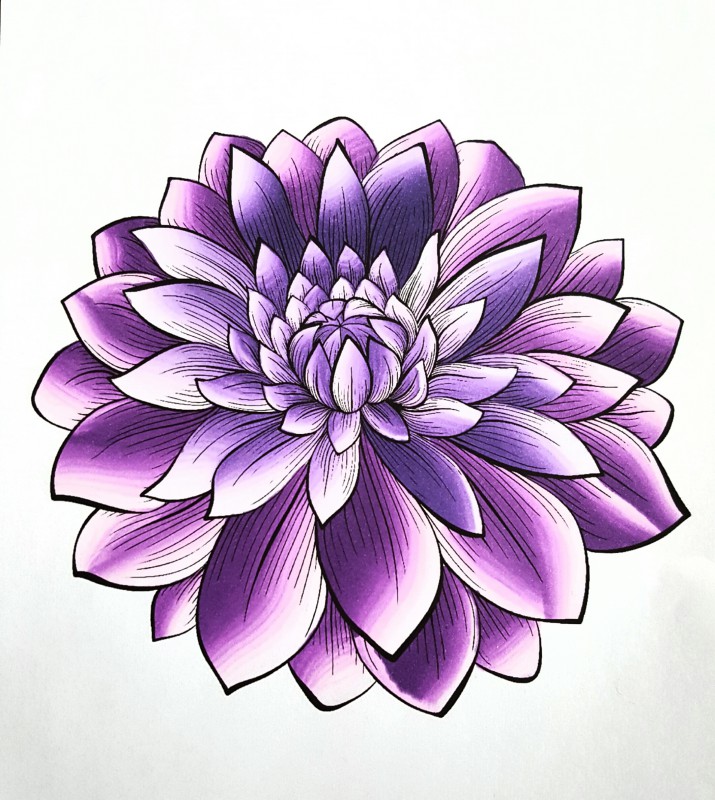 Dahlia flower - Flowers Adult Coloring Pages