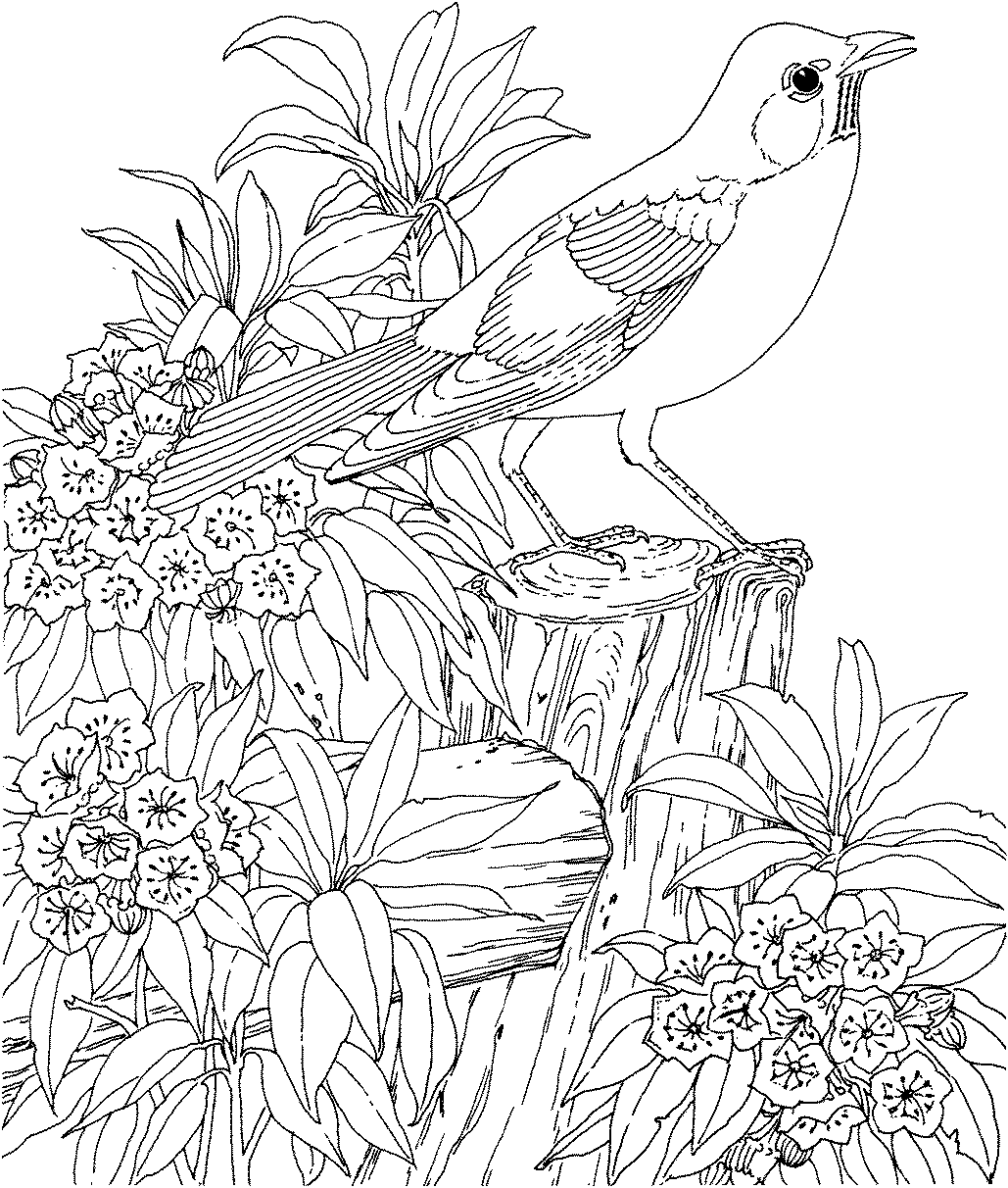 difficult coloring pages for older children