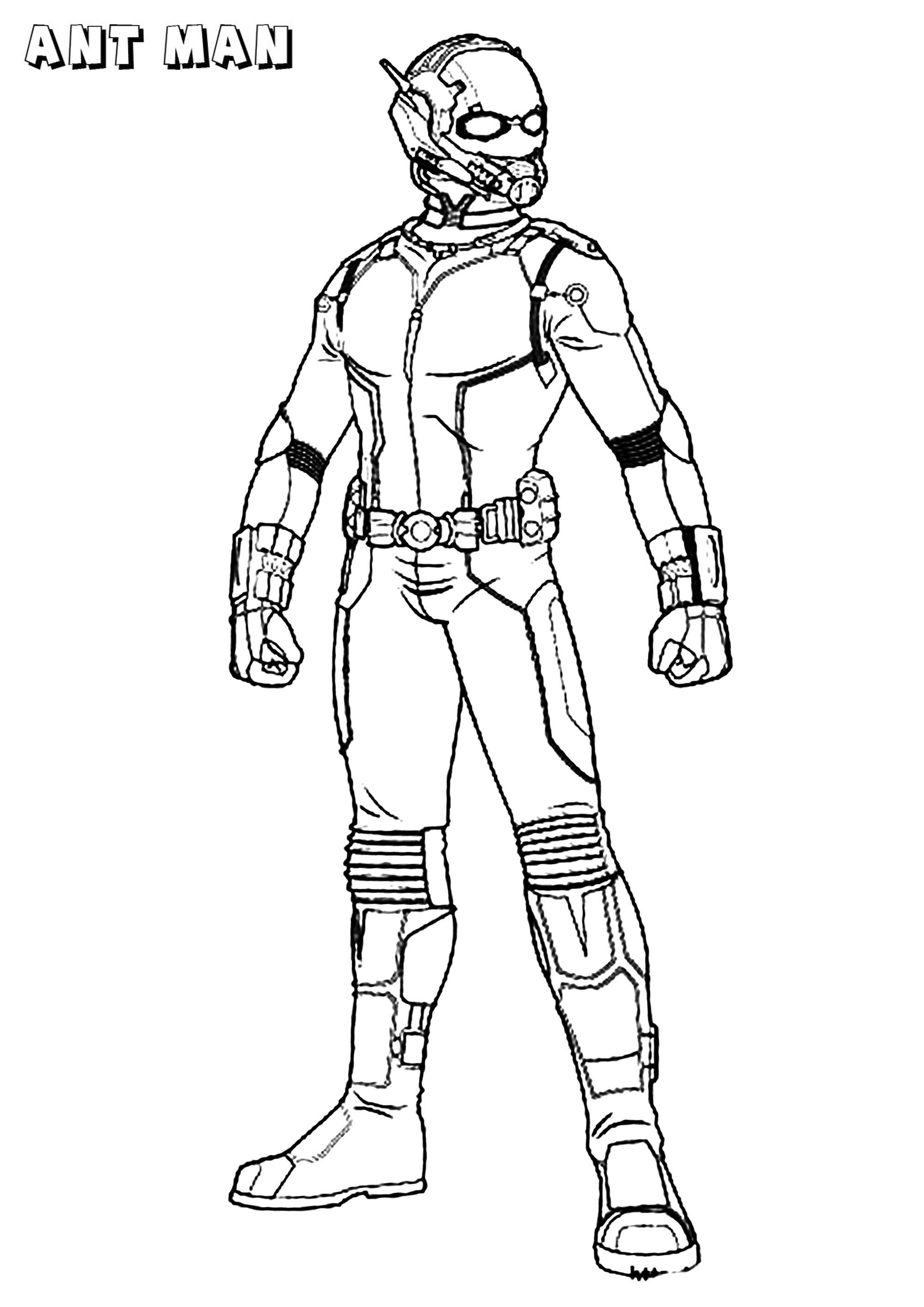 Hank Pym Ant-Man Avengers Drawing Marvel Cinematic Universe PNG, Clipart,  Antman, Ant Man, Ant Man,