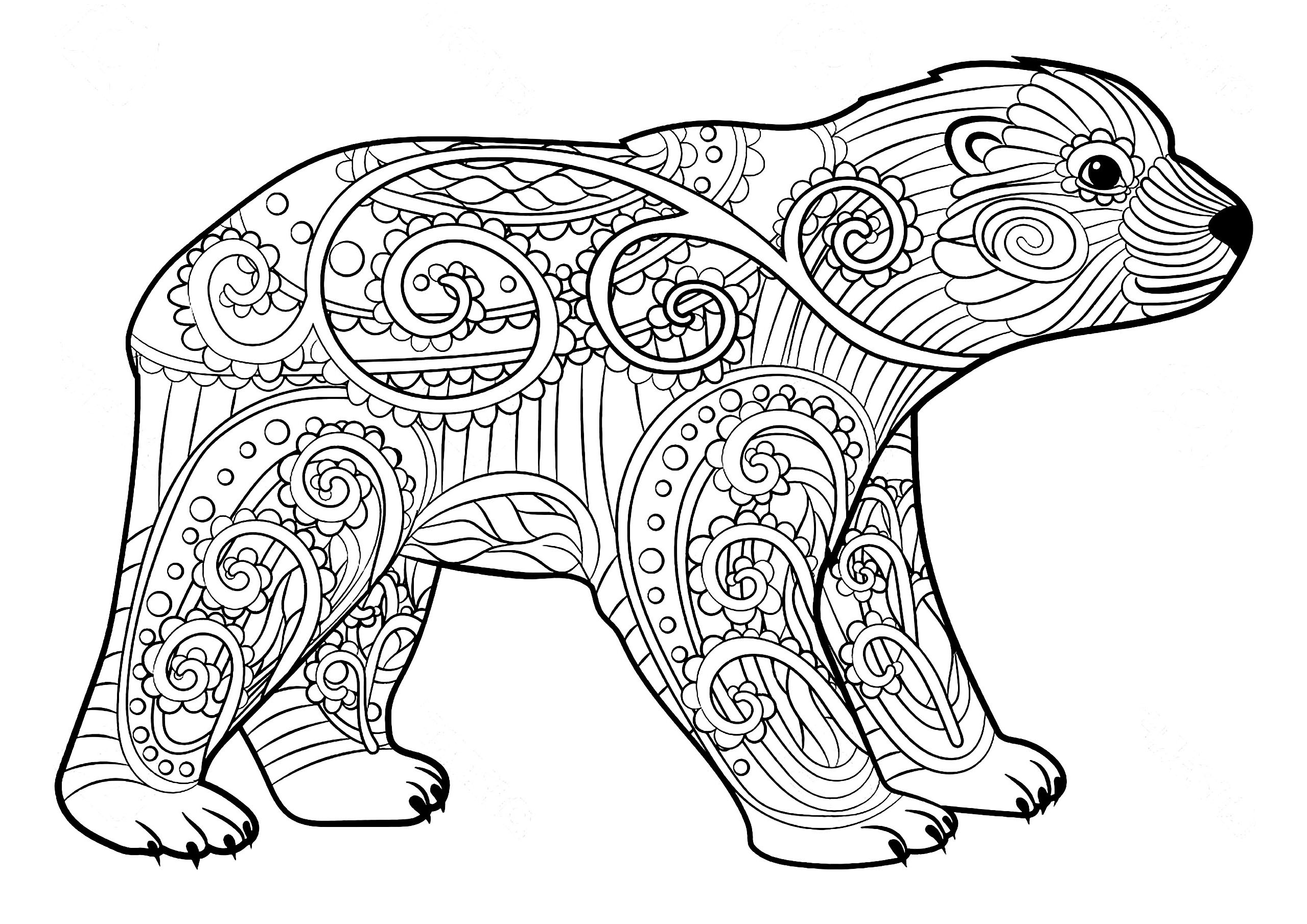 Young Bear and motifs - Bears and Cubs Kids Coloring Pages - Page img ...