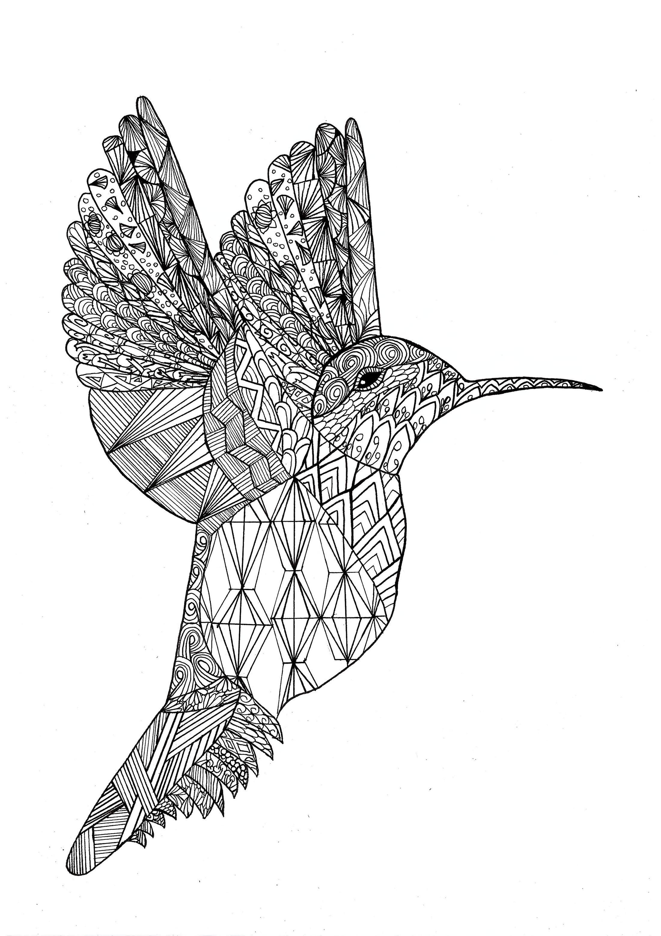 hard bird coloring pages