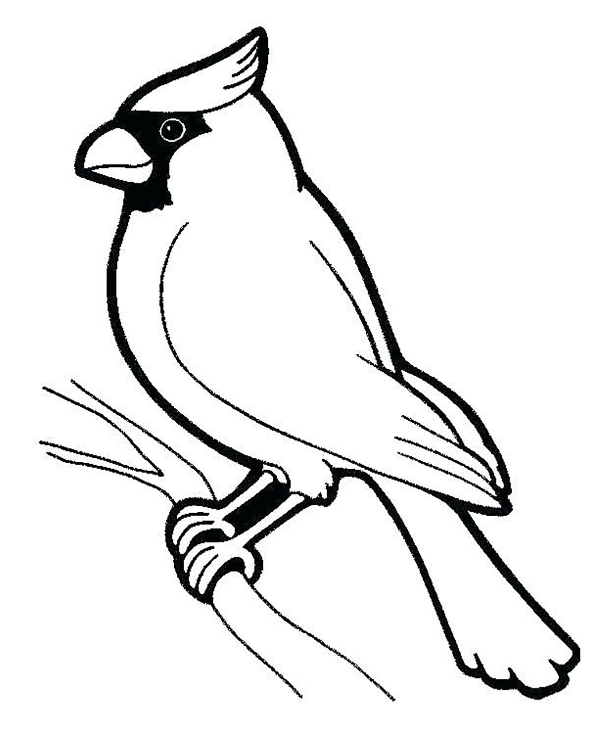 Download Birds To Download Birds Kids Coloring Pages