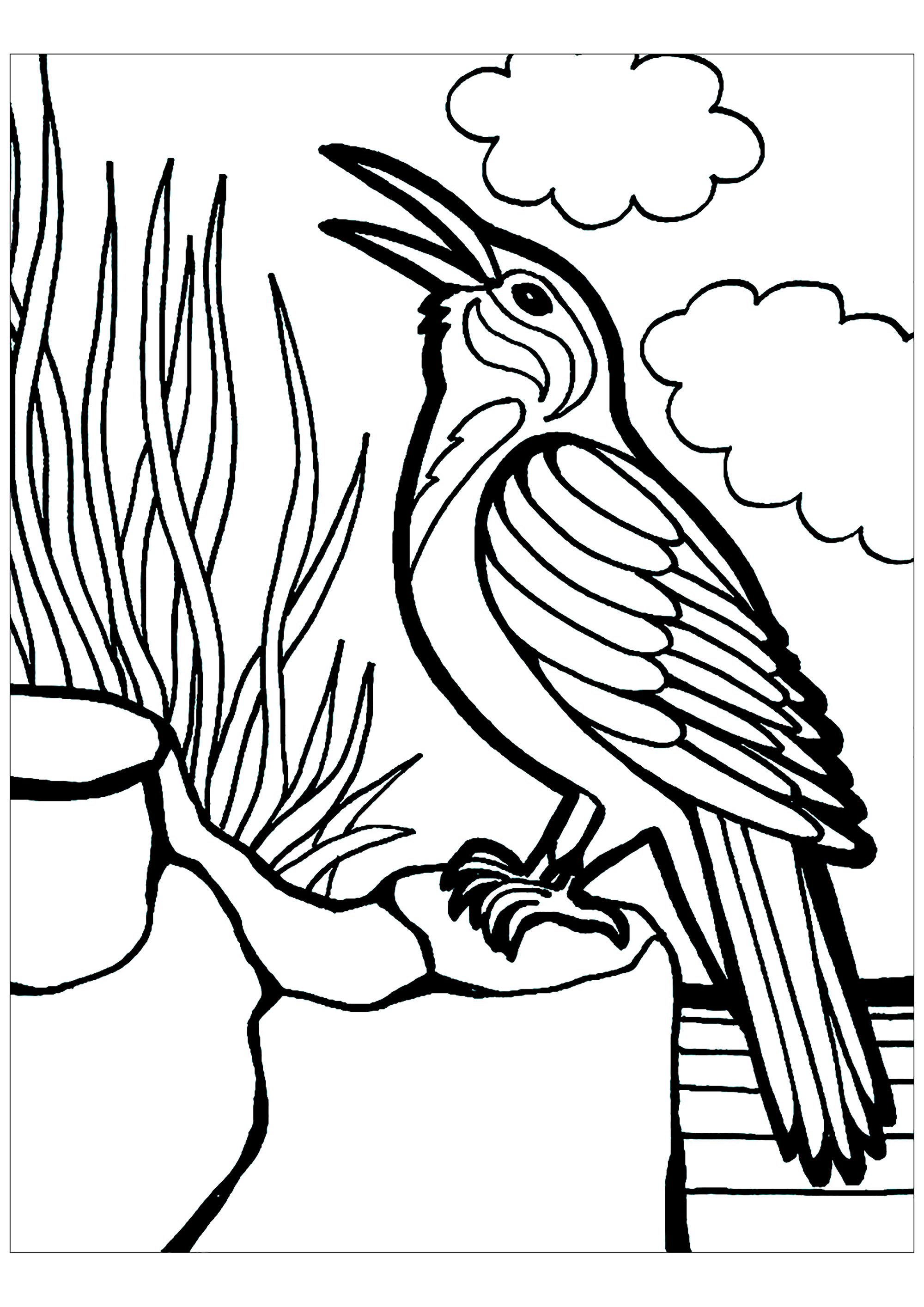 Download Birds to print for free - Birds Kids Coloring Pages