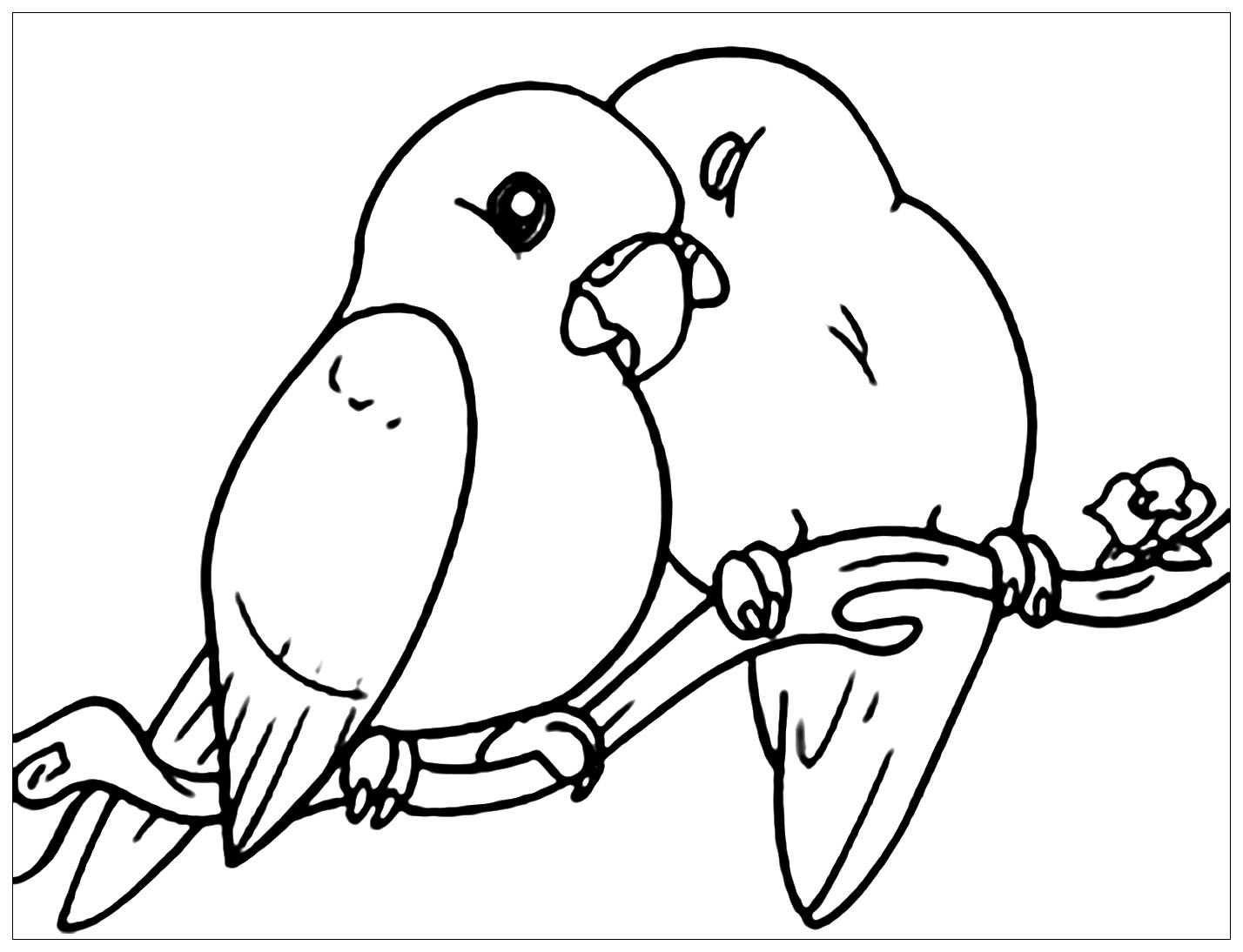 Small birds - Birds Kids Coloring Pages