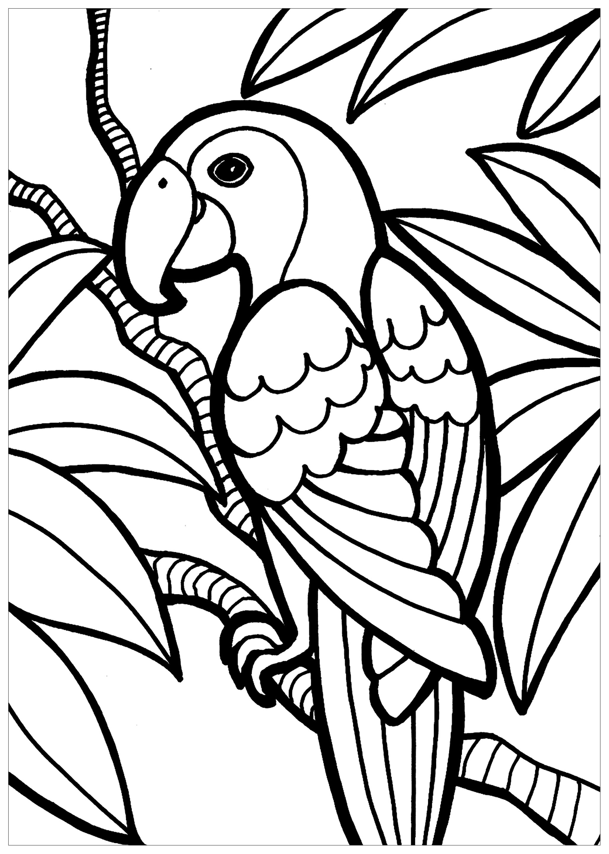 coloring pages of tropical bird