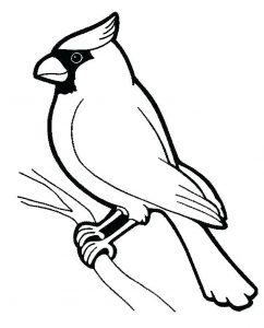 bird coloring pages for kids printable