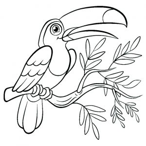 Coloring Pages For Kids Birds Coloring Book 2: Coloring Books for