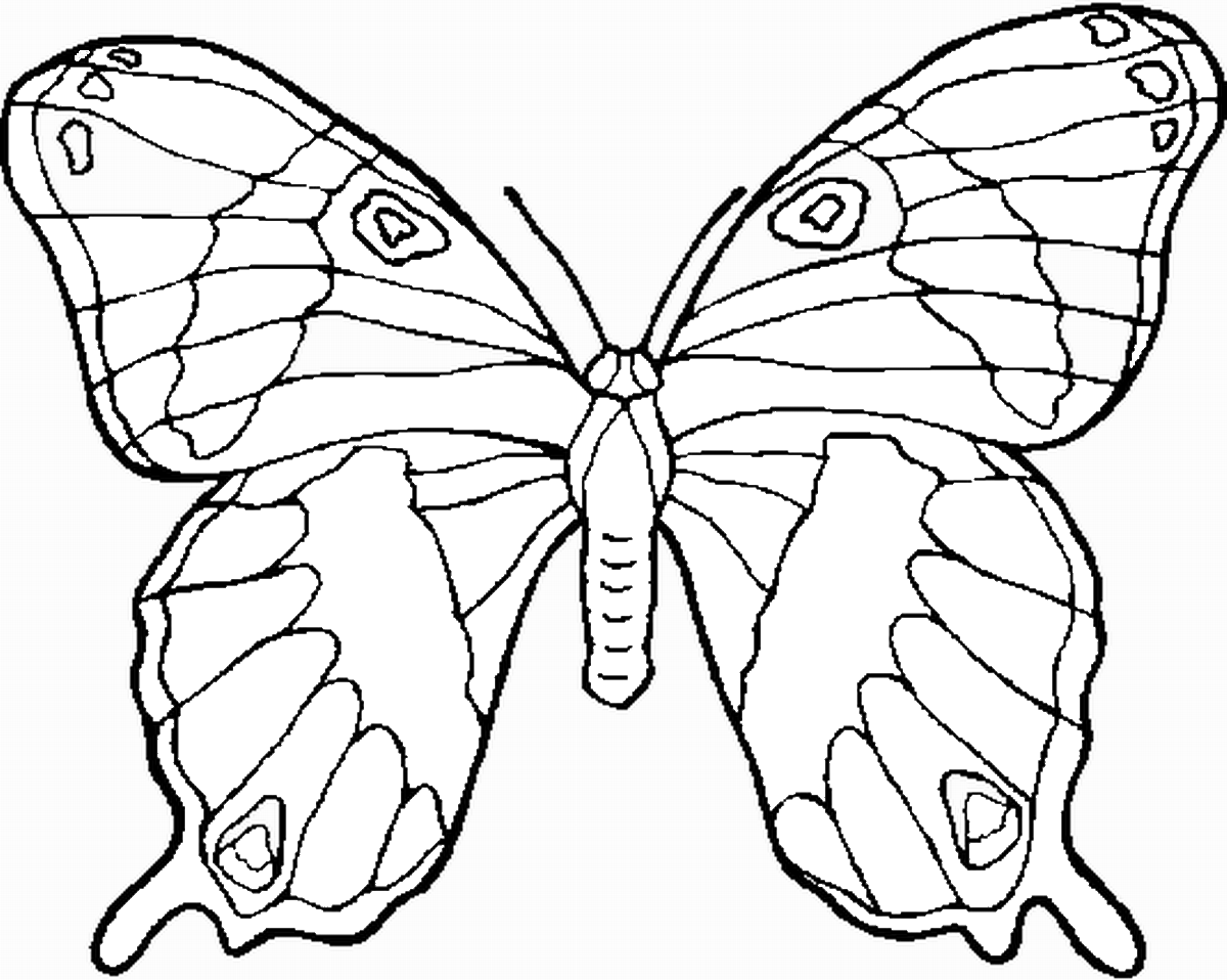 butterfly black and white coloring page