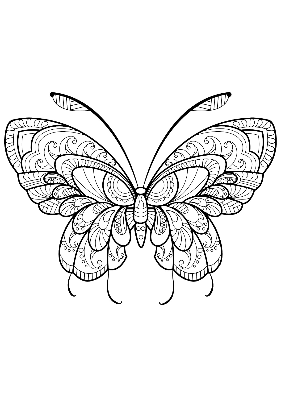 Free butterflies coloring pages - Butterflies Kids Coloring Pages