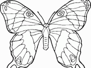 Printable #free coloring page from #kidsbook for ages 5-8