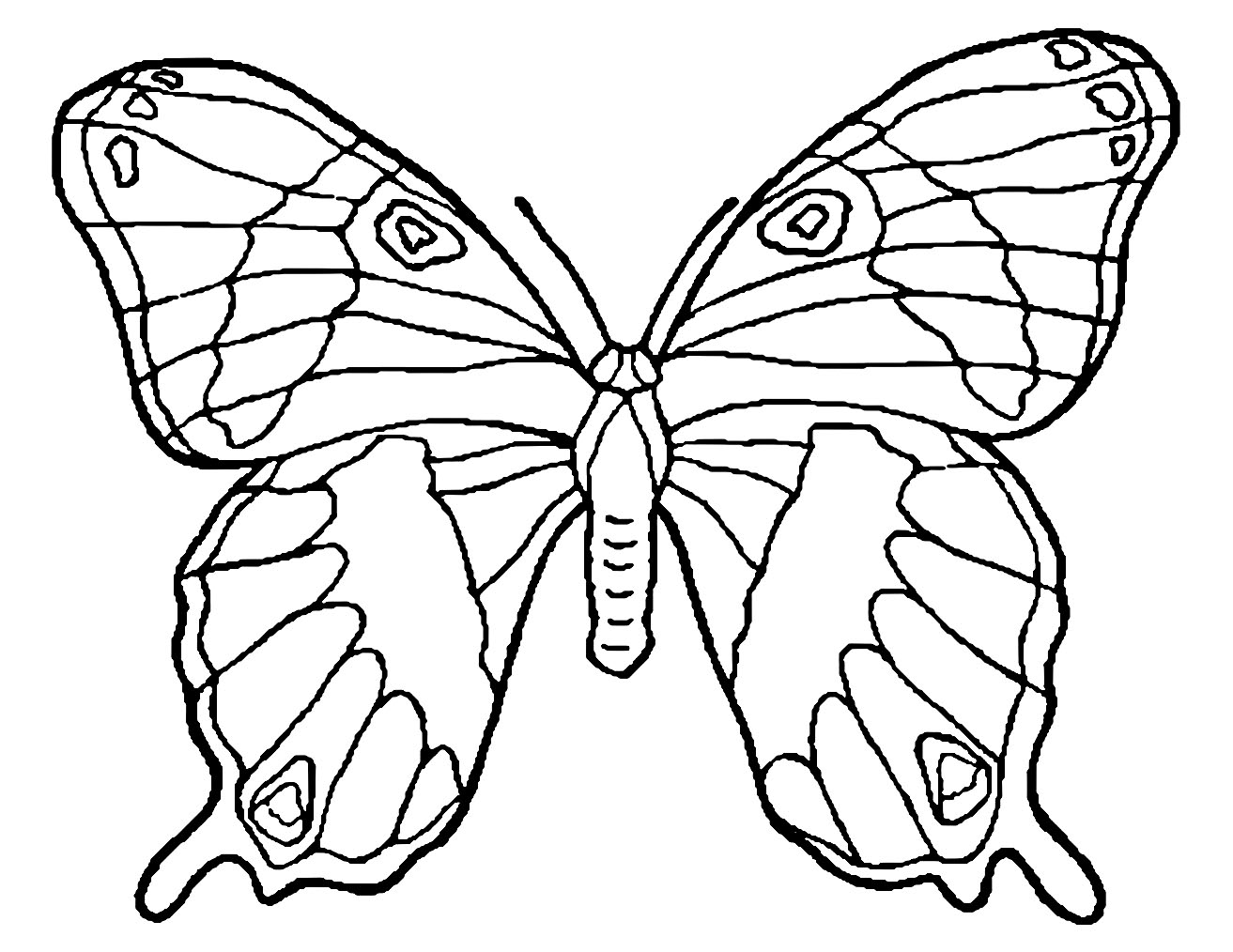 Butterfly Images For Coloring