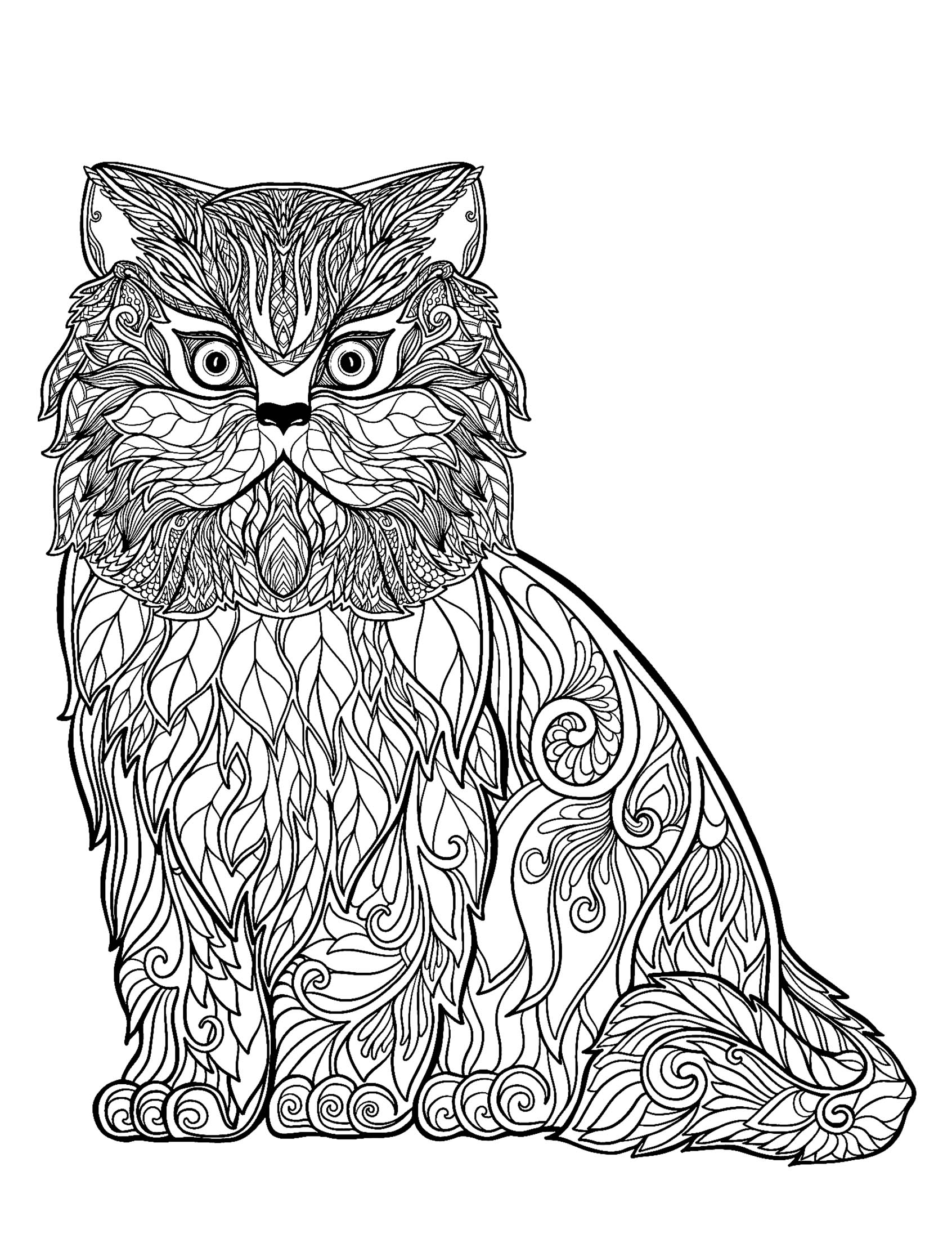 Download Cat free to color for kids : Wise cat full of details ...