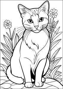 Cat colouring book drawing simple - Playground