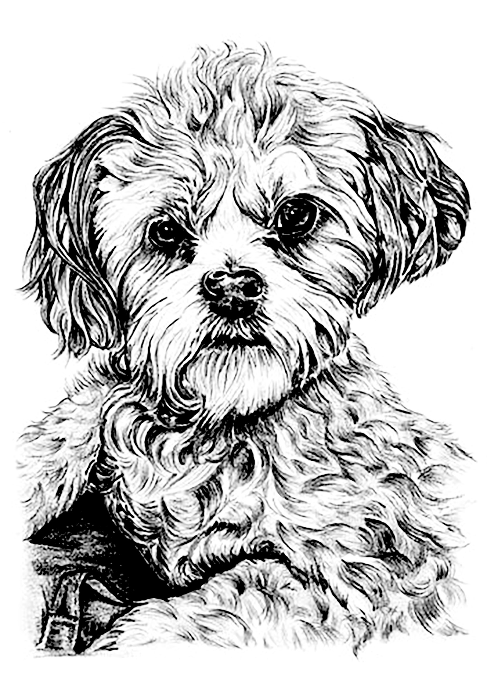 Dog coloring for kids Dogs Kids Coloring Pages