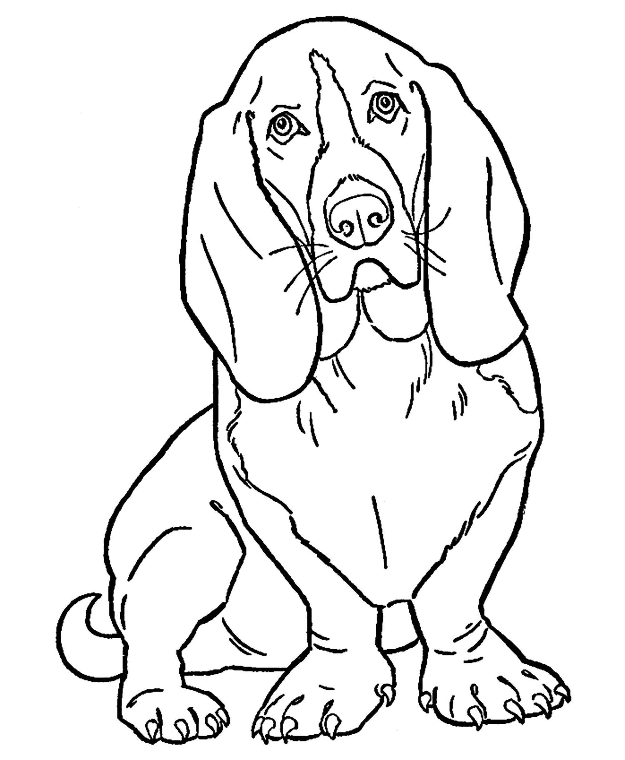 Easy Dog Drawing for Kids Coloring Page