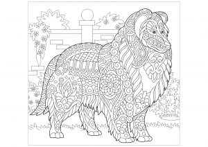 Adopt Me Coloring Pages