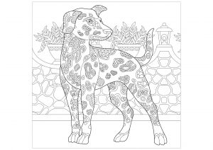 baby dog printable coloring pages