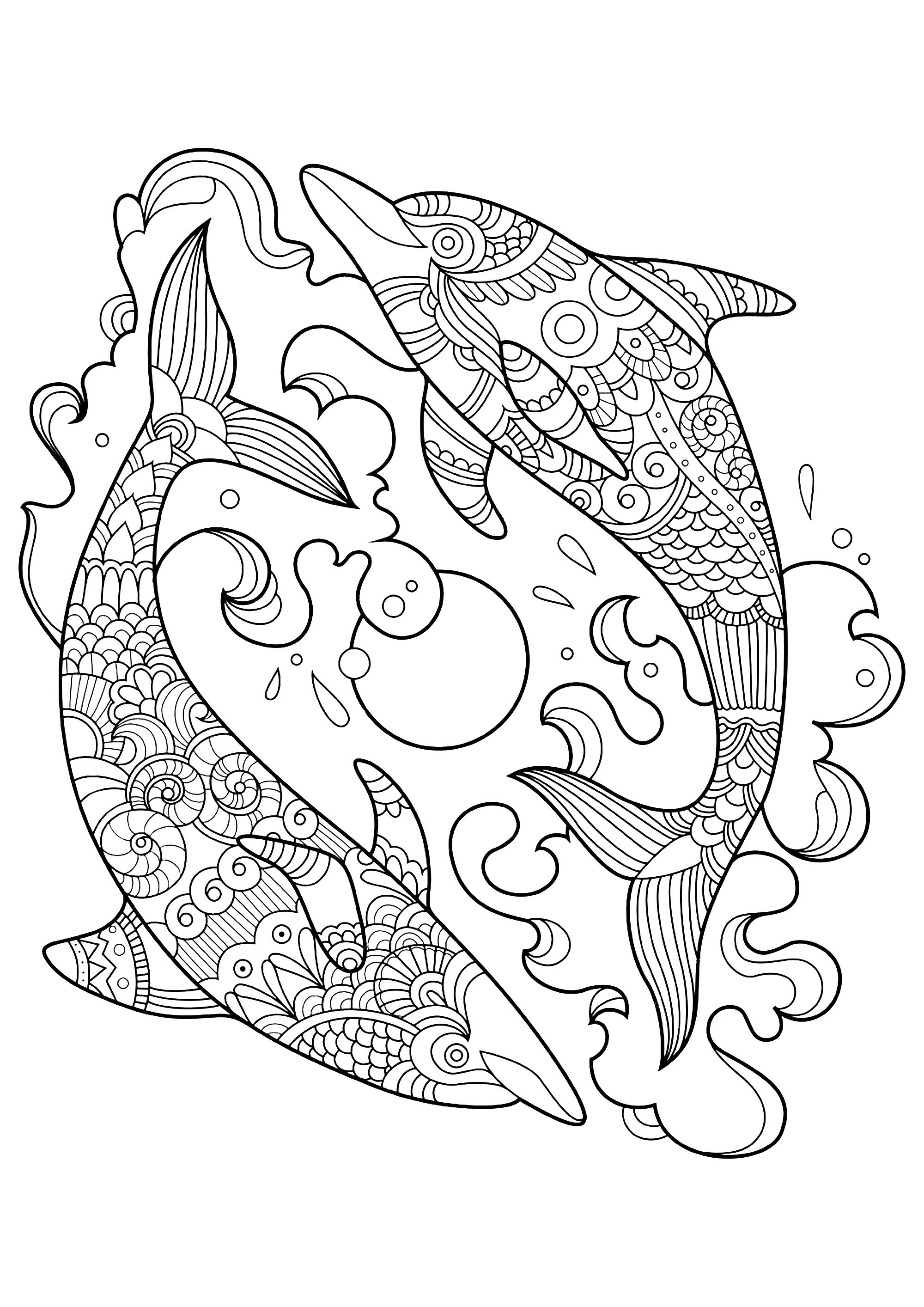 Dolphin drawing to download and print for children