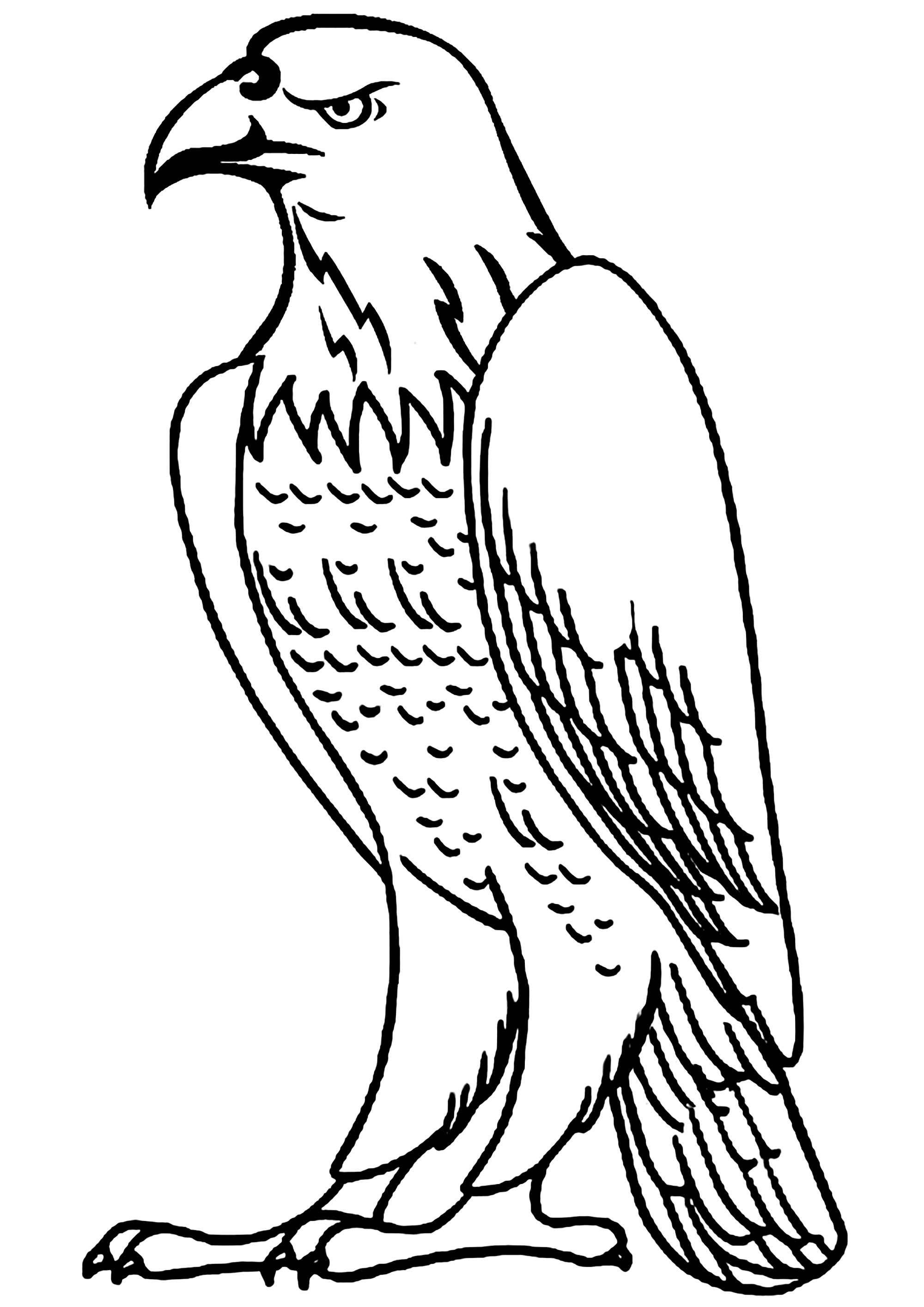 Eagle Drawing Step by Step - Art Starts