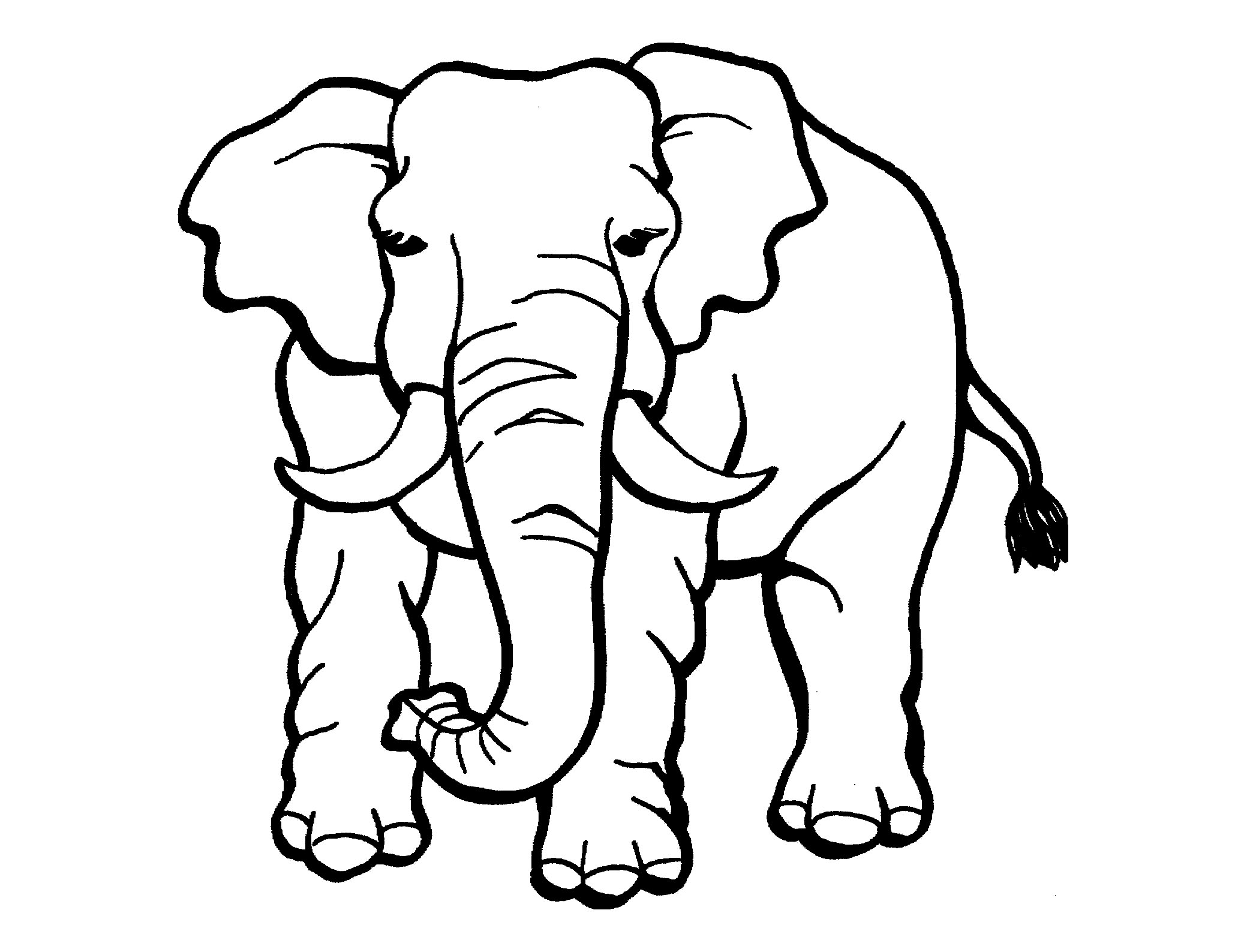 Great elephant coloring for kids