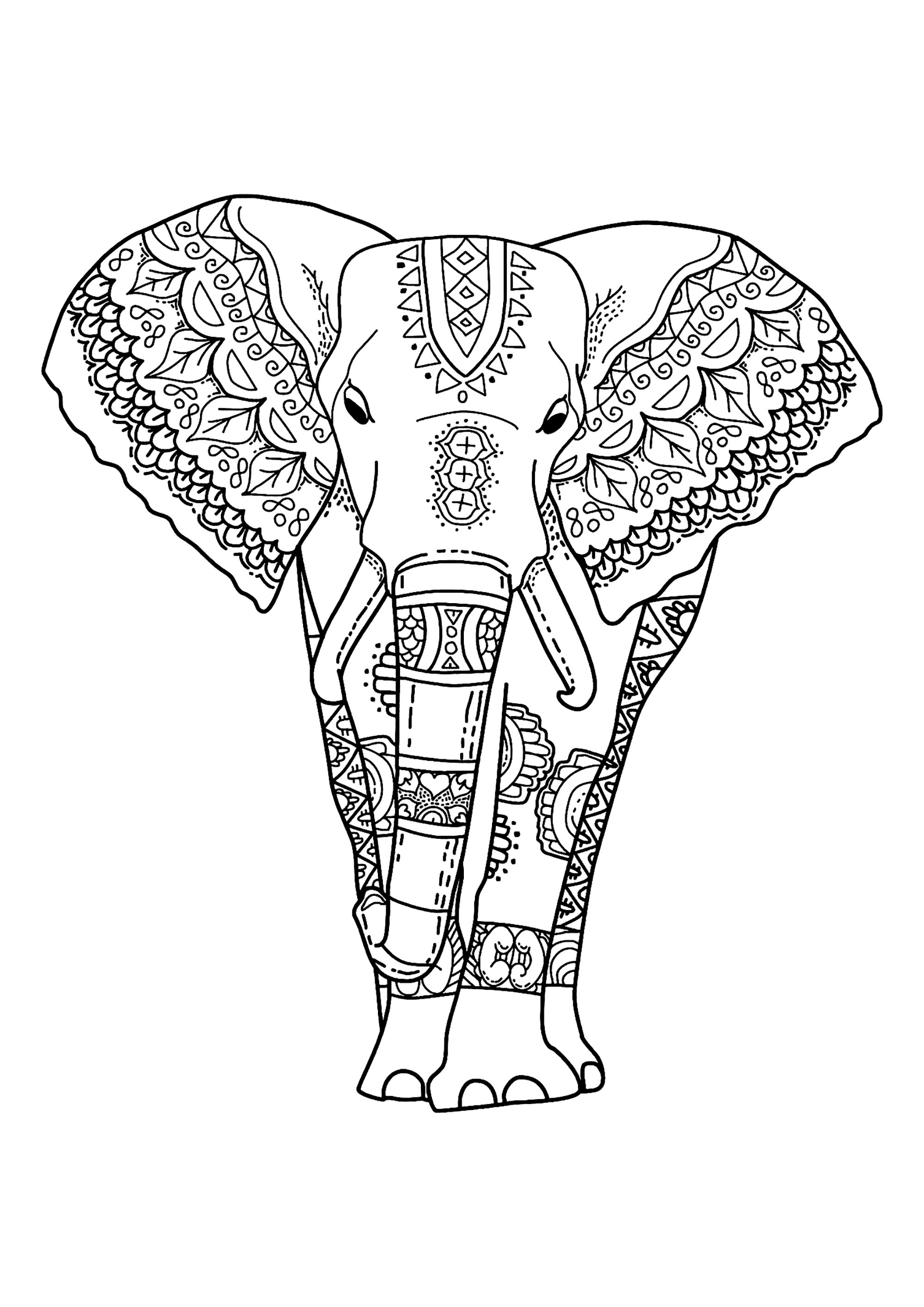 Adult Coloring Pages Of Elephants Coloring Pages