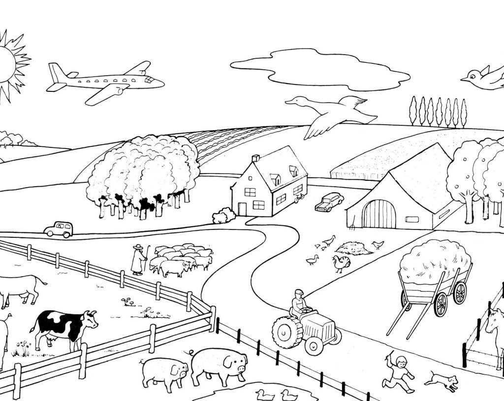How To Draw A Turkey - Farm Coloring Pages For Kids - YouTube